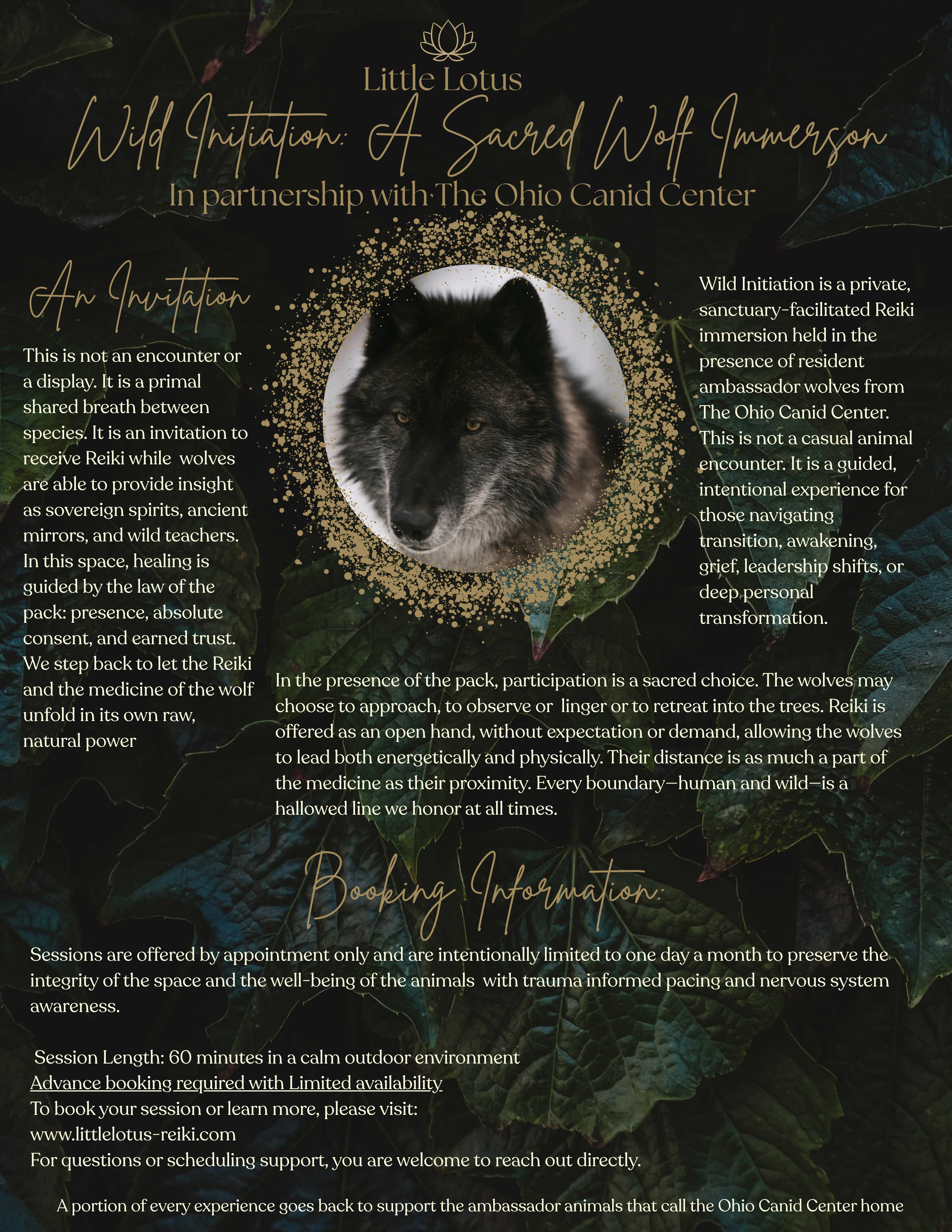 A Sacred Wolf Immersion